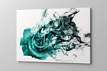 obraz smoke rose dymova ruža